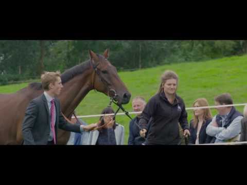 Paul Nicholls Open Day 2016 - PART 1