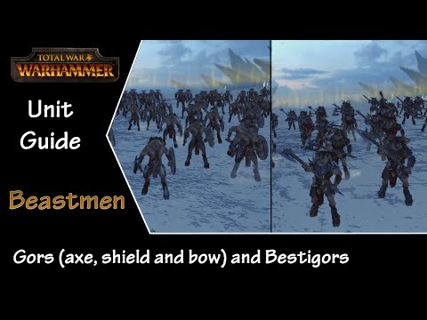 Total War: Warhammer Unit Guide - Beastmen - Gor's and Bestigor's
