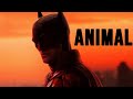 The Batman Animal