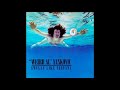 "Weird Al" Yankovic - Smells Like Nirvana
