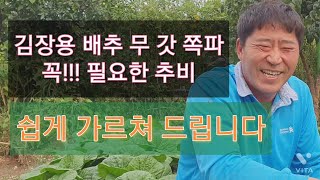 장모님네 감장배추무쪽파에 고추양파감자 다되는복합추비주기