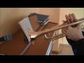 Skillet - Whispers In The Dark (trumpet cover ...