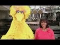 Michelle Obama Teams Up With Sesame Street S Big Bird
