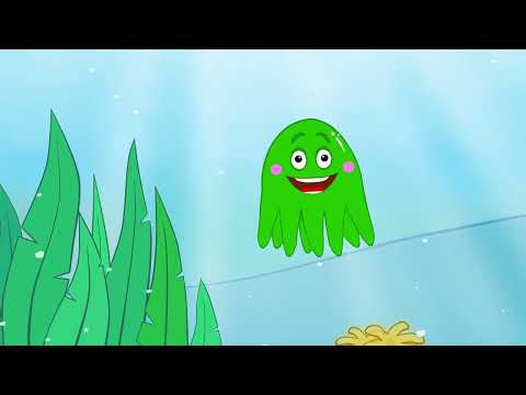 Der kleine Oktopus und bunte Algen - Kindervideo - deutsch