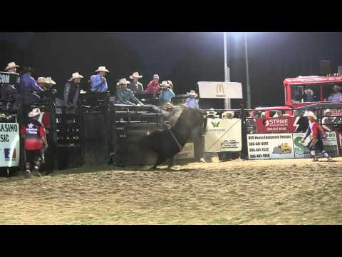 Cody Teece vs. Hey Jack (PBR)