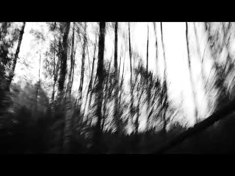 Colours of Bubbles - Stela (Official Album Trailer)