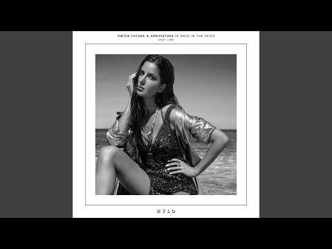 Walk in the Skies (Original Mix)