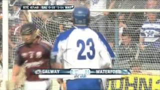 Top 10 Hurling Goals 20009 | Shane Walsh 1
