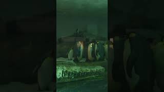 ケロロ＆ＴＮさん＆大空スバル＆おとのせかなで＆宝鐘マリン＆白銀ノエル＆江戸川コナン＆毛利蘭ペンギンの運命の愛であります167回ペンギンの運命の愛編