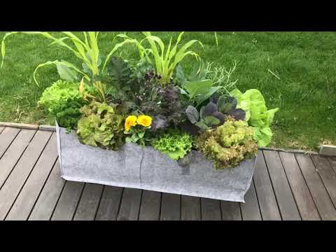 Pflanztaschen für Urban Gardening