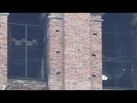 Le campane di Lodi - Cattedrale di Santa Maria Assunta