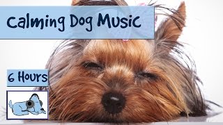 Over 6 HOURS of Calming Dog Music. For New Puppies with Separation Anxiety!