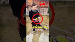 Download lagu Sweet Smile in the Middle of the Rice Fields! ☀️🥰 #Shorts #BeautifulGirl #BeautifulFarmers #Viral... mp3