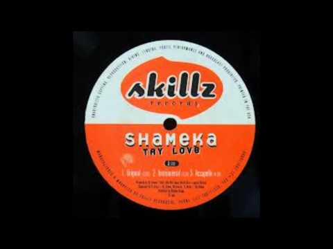 Shameka - Try Love