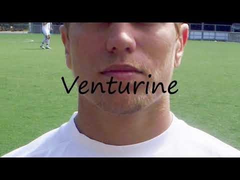 How to Pronounce Venturine?