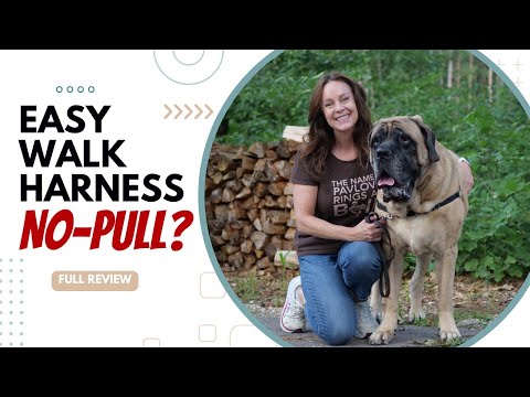 PetSafe Easy Walk Harness Review | Is it REALLY a...