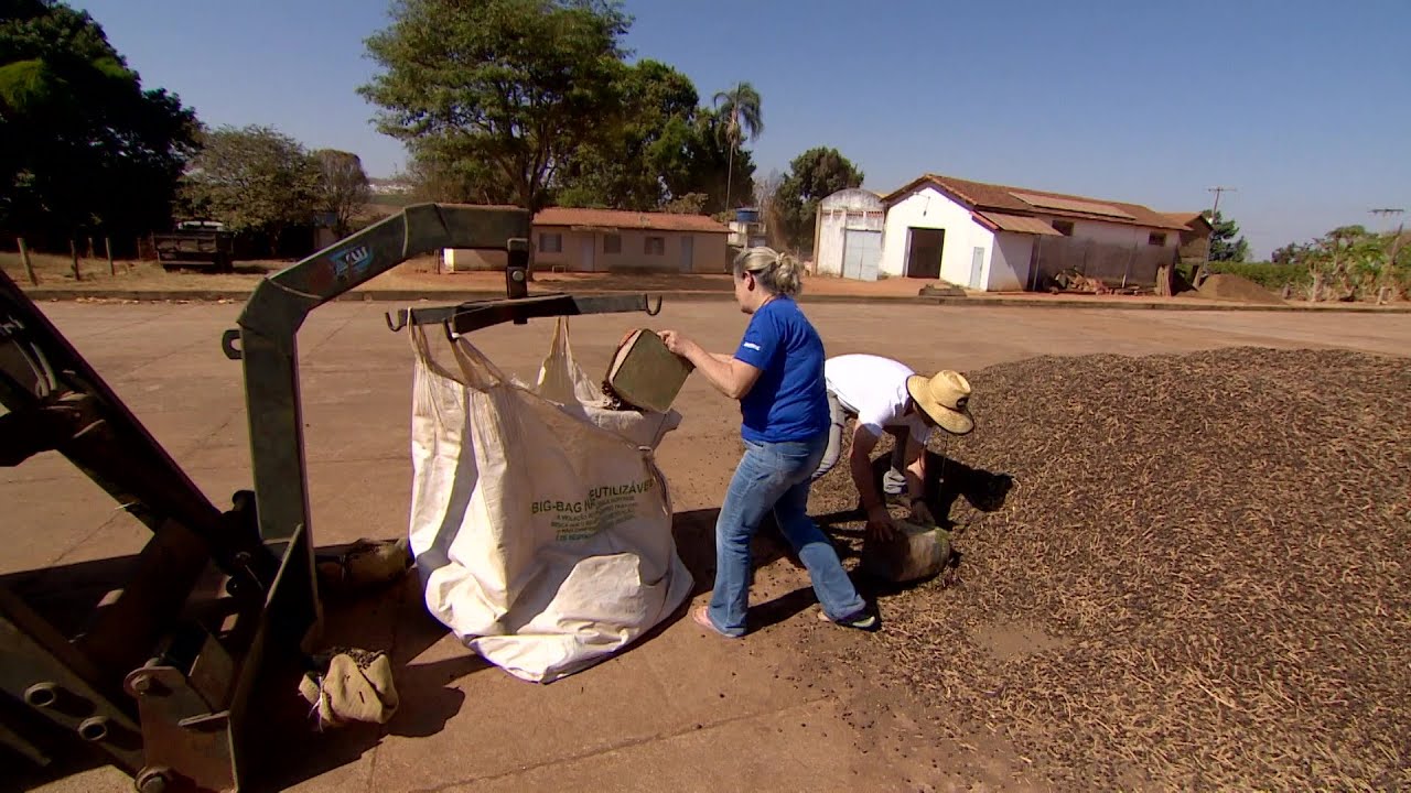 Confiança em Deus a história de uma família no interior de Minas Gerais