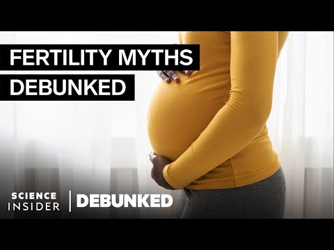 生育專家揭穿關於懷孕的19個誤區 | 揭穿 (Fertility Experts Debunk 19 Myths About Getting Pregnant | Debunked)