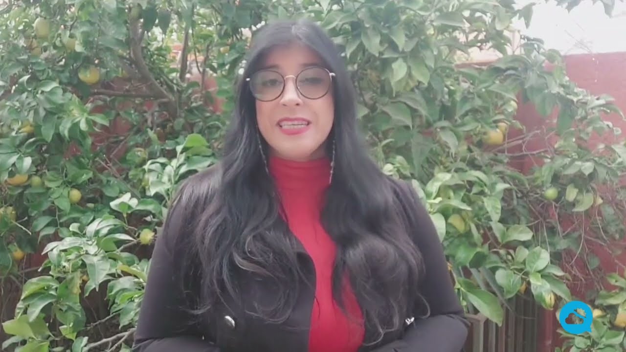 youtube video id=q1x-7zALk5Y