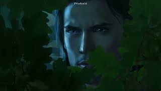 Legenda o Sněžném království - sběratelská edice 5