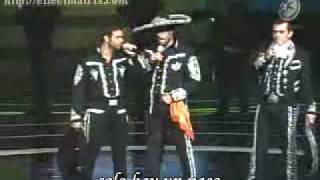 fuego en la sangre y me he equivocado subtitulado