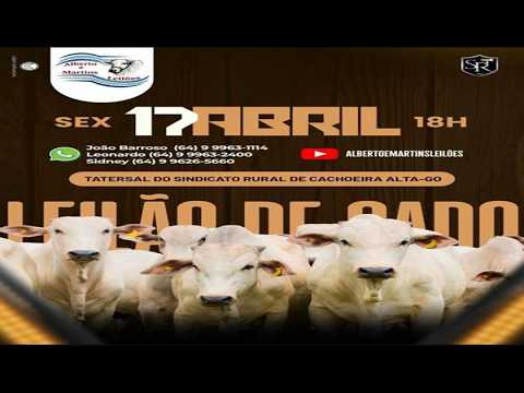 LEILÃO ALBERTO e MARTINS 17/04/2026 AS 18:00 hs em Cachoeira Alta Go.