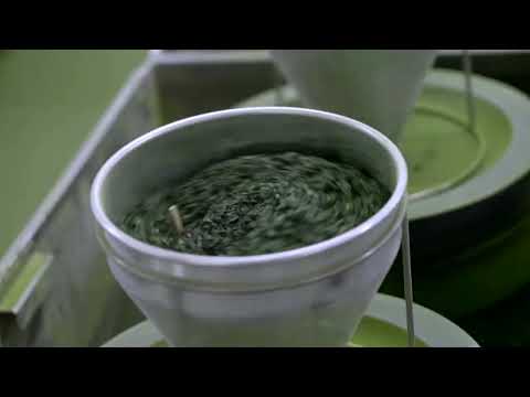 為什麼日本抹茶越來越貴？ (Why is Japan's matcha becoming more expensive?)