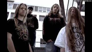 Defeated Sanity - New Song 2011 (live @ the thousand caves)