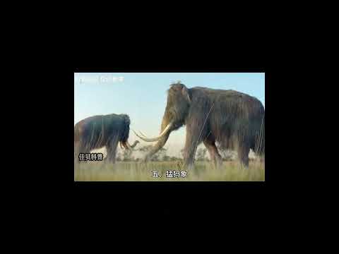 地球上已灭绝的八种动物大揭秘 #知识科普 #科普知识 #涨知识