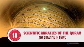 Video: In Quran 36:36, the Creation is in pairs - Quran Miracle