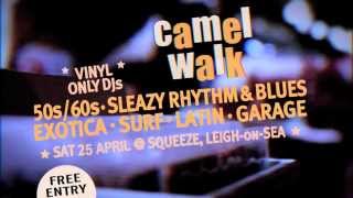 preview picture of video 'Camel Walk @ Squeeze (Leigh-on-Sea)'