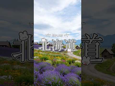 探索北海道：旅遊景點推薦
