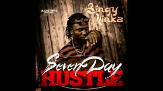 Bingy Linkz - Seven Day Hustle (AUDIOTRAXX PRODUCTIONS)