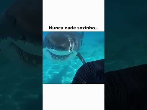 Mar não é brincadeira 🤯 #pesca #pescaria #tubarão #fishingvideo #fishing