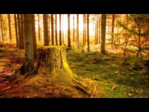 Johan Gielen - Dreamchild (Shah & Del Mar Remix )