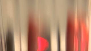 Illum Sphere — The Earth Is Blind (Prelude)