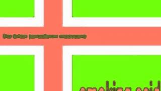 brian jonestown massacre - the serious matter