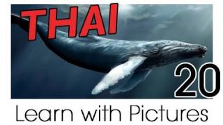Learn Thai with Pictures -- Marine Animals