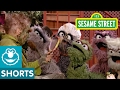 Sesame Street Grouch Eye For The Nice Guy With Oscar