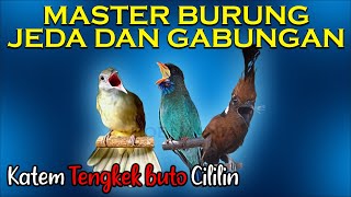 Download lagu Master Jeda dan Gabungan | kapas tembak, tengkek buto, cililin mp3