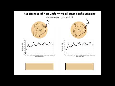 NCVS Insights 1(2): Vocal Tract Resonances in Vowel Production