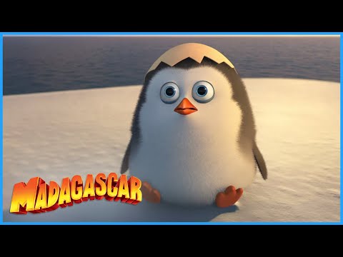 The Very Best of Private | DreamWorks Madagascar | Compilation |  Penguin of Madagascar