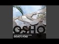 Basho’s Pond (Part 1)