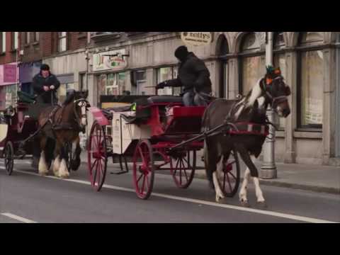 This Is Us One Direction Movie Extras: Going Home - Niall Horan