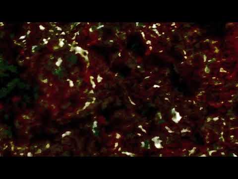 kuelas - around me (prod by Rujay)