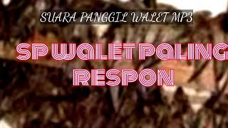 Download lagu SP WALET PALING RESPON MP3 mp3