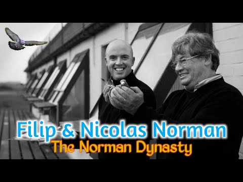 Filip & Nicolas Norman "The Norman Dynasty" - 100 years of pigeon sport at the top level!
