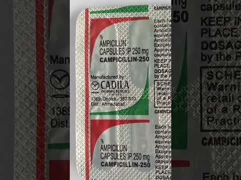 500mg campicillin ampicillin capsules