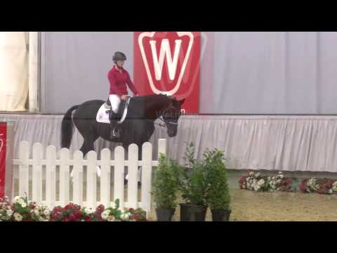 07 Aleksej Wallach v. Ampere (NLD) - Wordly - Prestige Pilot