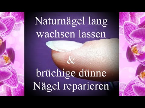 Das Mittel die Salbe von gribka die Beine Die Präparate von gribka des Nagels die Rezensionen
